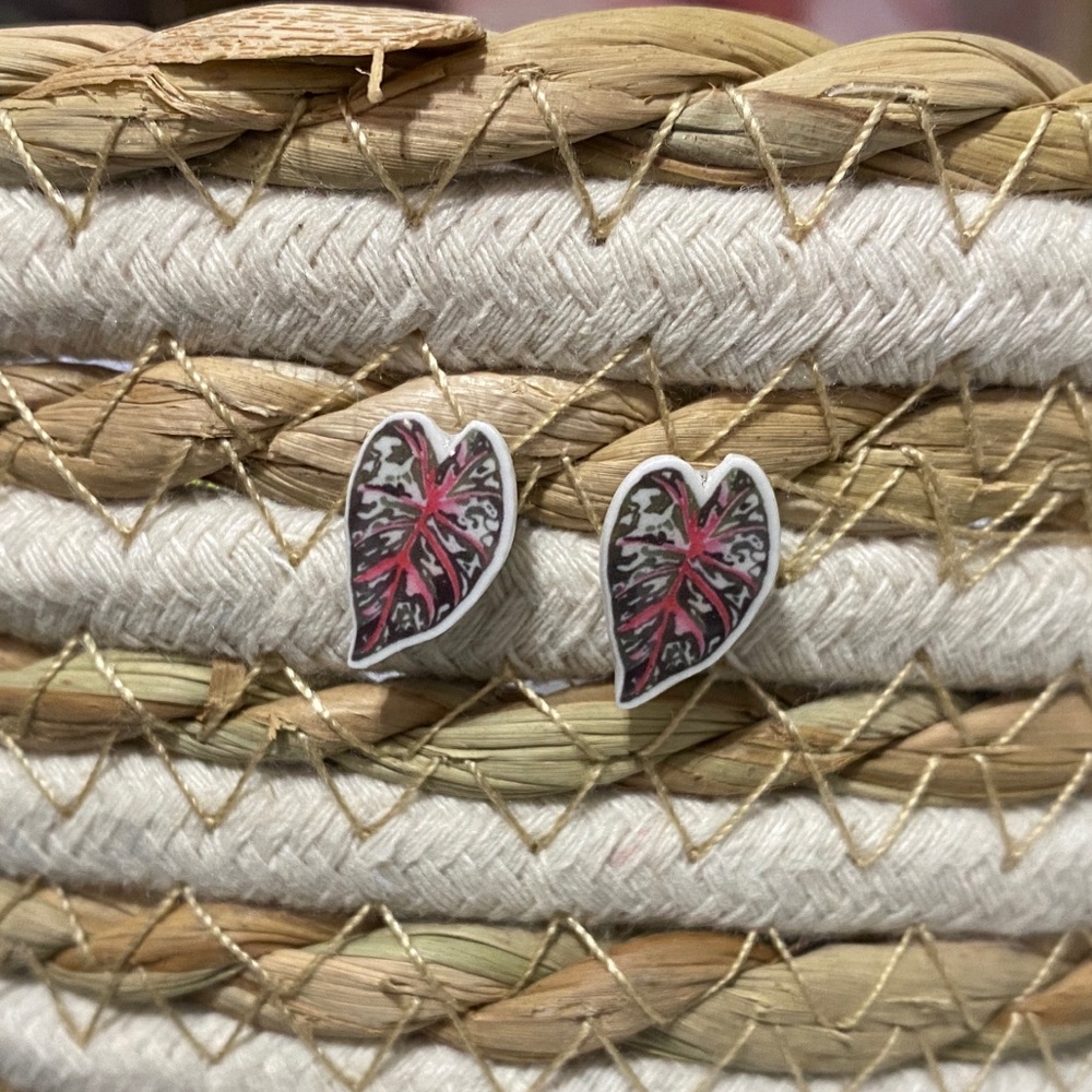 ⭐️ 2/$20 earring sets ⭐️ 
Caladium NEW indoor houseplant acrylic earring set